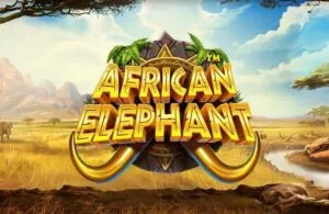 African Elephant เกมสล็อตค่าย Pragmatic Play ทดลองเล่นฟรี