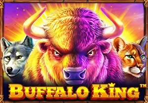 Buffalo King เกมสล็อตค่าย Pragmatic Play ทดลองเล่นฟรี