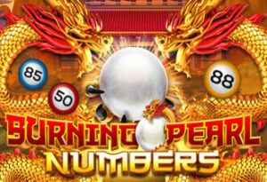 burning pearl bingo เกมสล็อตค่าย joker gaming ทดลองเล่นฟรี