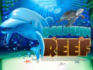 dolphin reef เกมสล็อตค่าย joker gaming ทดลองเล่นฟรี