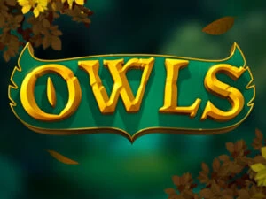 owls เกมสล็อตค่าย  ทดลองเล่นฟรี