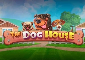 The Dog House เกมสล็อตค่าย Pragmatic Play ทดลองเล่นฟรี