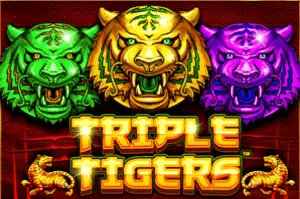 Triple Tigers เกมสล็อตค่าย Pragmatic Play ทดลองเล่นฟรี