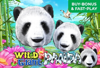 Wild Giant Panda