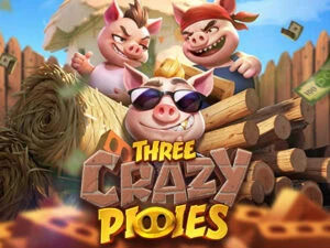 three crazy piggies